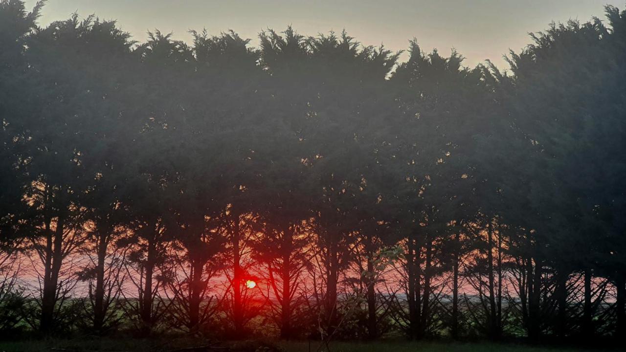 Bois De Crane Villa Landes-le-Gaulois Eksteriør bilde